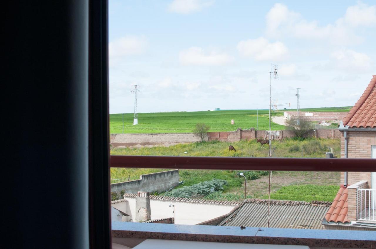 Hostal Concepcion La Mata  Екстер'єр фото